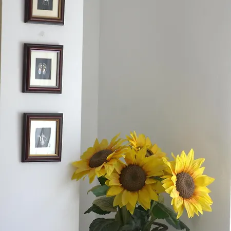 Little Vine House Σπίτι διακοπών *